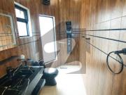 Luxury Designed House For Rent In Phase 8 Bahria Town...