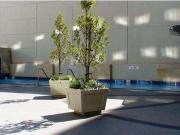 Luxury & elegant city living Luxury & elegant city living