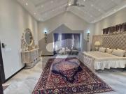 Luxury Fully Furnished Farmhouse for Sale Block A,...
