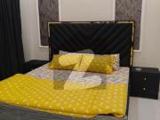 Luxury Furnish house Brand New 16 Marla house for rent...