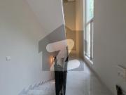 Luxury House On Prime Location Available For Rent In... Luxury House On Prime Location Available For Rent In...