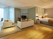Luxury Open Plan Apartment overlooking the River Thames...