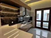 Luxury Redifined: Brand New 500 sq. Yd Bungalow For Sale