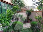 Luxury Safari Villa 3 Available For Rent