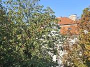 Luxus Apartment mit 120 m2 zu verkaufen Wien, Österreich