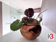 Luxus Apartment mit 124 m2 zu verkaufen in Salzburg,...