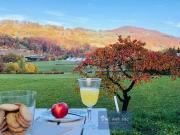 Luxus Apartment mit 2 Zimmer zu vermieten in Blonay, Schweiz