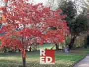 Luxus Apartment mit 85 m2 zu verkaufen in Wien,...