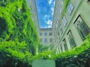 Luxus Apartment mit 55 m2 zu verkaufen Wien, Bundesland Wien