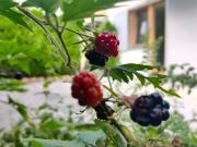 Luxus Apartment mit 78 m2 zu verkaufen Innsbruck, Österreich