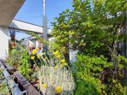 Luxus Apartment mit 90 m2 zu verkaufen Wien, Bundesland Wien