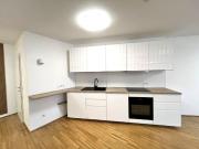 Luxus Apartment mit 90 m2 zu vermieten in Wien,...