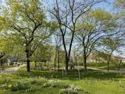 Luxus Apartment zu verkaufen Wien, Bundesland Wien