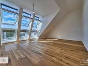 Luxus Apartment zu verkaufen Wien, Österreich