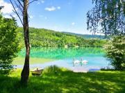 Luxus Haus mit 216 m2 zu verkaufen Feistritz im...