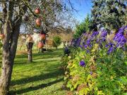 Luxus Haus mit 4 Zimmer zu verkaufen in...