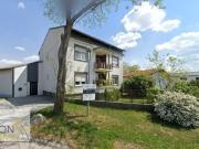 Luxus Haus mit 9 Zimmern zu verkaufen in Gols, Burgenland