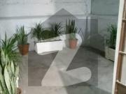 Luxzary Single Story House For Sale In Jan colony...