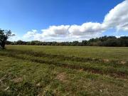 Luynes 37230 Programme neuf terrain neuf à vendre