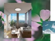 Lyon 3 Vente Appartement 69