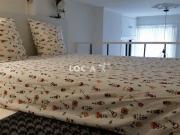 Lyon 6 Location Appartement 69