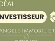 Lyon 7ème 69007 Achat / Vente appartement 3 pièces t3