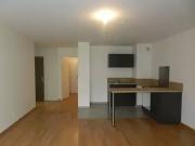 Lyon 7ème 69007 Location appartement 3 pièces t3 terrasse Lyon 7ème 69007 Location appartement 3 pièces t3 terrasse
