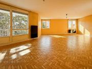 Lyon 8 Vente Appartement 69