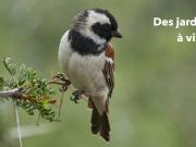 Lyon 9 Vente Appartement 69