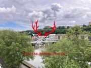 Lyon 9 Vente Appartement 69