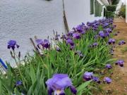 M044 INMOHOUSE VENDE PRECIOSO CHALET EN URBANIZACION LOS...