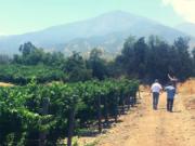 M9459423 Venta Terreno Viñas de Buin 10 ha SIN COMISION