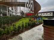 m adora, condominium