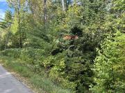 M Ridge Rd Lot,charleston, Plot For Sale