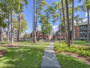 MAA Greenwood Forest Magnolia
