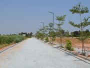 Devanahalli Residential Plot For Sale Bangalore
