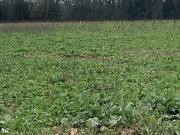 Machecoul Saint Même 44270 Programme neuf terrain neuf à...