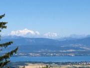 Machen Sie ein Angebot für diese hervorragende,...