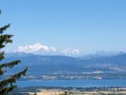 Machen Sie ein Angebot für diese hervorragende,...