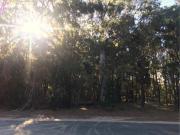 Macleay Island Queensland 72351426