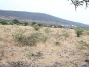 Macro Terrenos en venta Huimilpan Queretaro