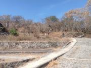 MACROLOTE EN VENTA EN XOCHITEPEC