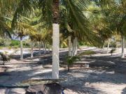 Macrolote Frente al Mar en Santa Clara, Ideal para...