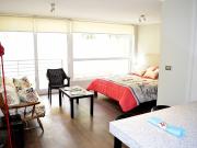 MACUL CON LAS PALMERAS CAMPUS JUAN GOMEZ MILLAS U DE CHILE