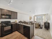 Maddox Apartments B2