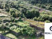 Madeira Porto Moniz 9270 96649578