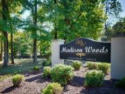 Madison Woods Evergreen