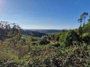 Mafra Lisboa 2640 300 89334222