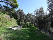 Magagnosc Vente Terrain 06