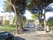 Magazzin di 2 locali in Affitto[25 mq]